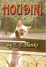 Title: Houdini, Author: T J Banks