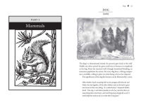 Alternative view 6 of Animal Messengers: An A-Z Guide to Signs and Omens in the Natural World