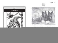 Alternative view 7 of Animal Messengers: An A-Z Guide to Signs and Omens in the Natural World
