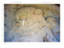 Alternative view 6 of Astronaut Gods of the Maya: Extraterrestrial Technologies in the Temples and Sculptures