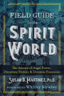 Field Guide to the Spirit World: The Science of Angel Power, Discarnate Entities, and Demonic Possession