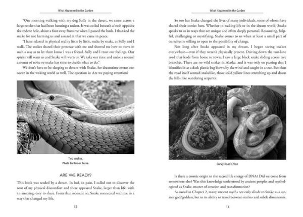 Awakening the Ancient Power of Snake: Transformation, Healing, and Enlightenment