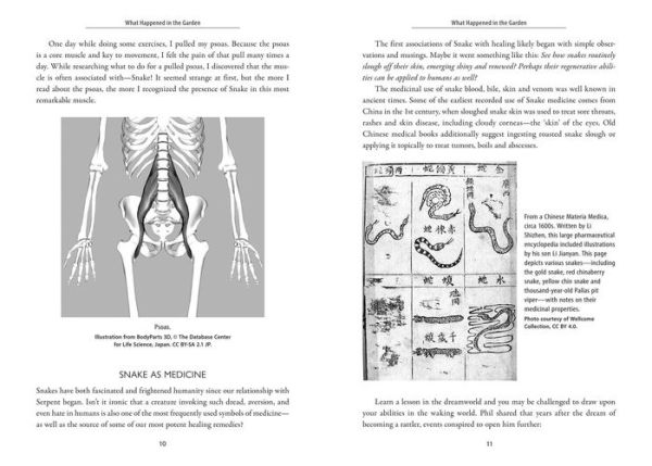 Awakening the Ancient Power of Snake: Transformation, Healing, and Enlightenment