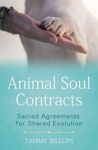 Animal Soul Contracts: Sacred Agreements for Shared Evolution