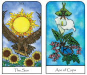 Nature Spirit Tarot: A 78-Card Deck and Book for the Journey