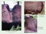 Alternative view 5 of The Petroglyphs of Mu: Pohnpei, Nan Madol, and the Legacy of Lemuria
