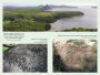Alternative view 6 of The Petroglyphs of Mu: Pohnpei, Nan Madol, and the Legacy of Lemuria