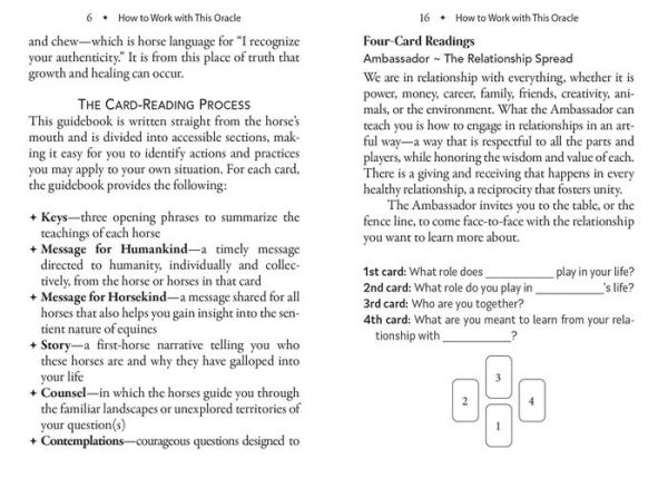 The Council of Horses Oracle: A 40-Card Deck and Guidebook