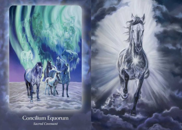 The Council of Horses Oracle: A 40-Card Deck and Guidebook