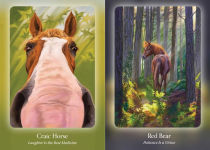 Alternative view 2 of The Council of Horses Oracle: A 40-Card Deck and Guidebook