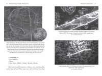 Alternative view 8 of The Geoengineered Transhuman: The Hidden Technologies of HAARP, Chemtrails, 5G/6G, Nanotechnology, Synthetic Biology, and the Scientific Effort to Transform Humanity