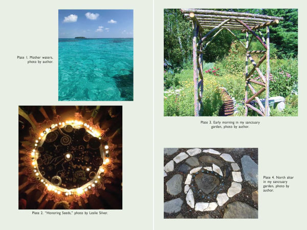 Co-Creating with Nature: Healing the Wound of Separation