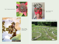 Alternative view 5 of Co-Creating with Nature: Healing the Wound of Separation