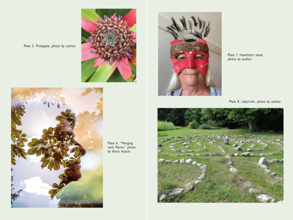 Co-Creating with Nature: Healing the Wound of Separation
