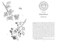 Alternative view 6 of Co-Creating with Nature: Healing the Wound of Separation