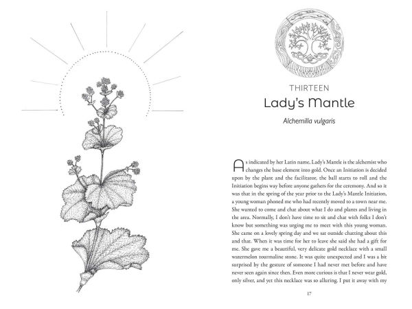 Co-Creating with Nature: Healing the Wound of Separation