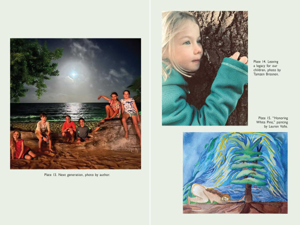 Co-Creating with Nature: Healing the Wound of Separation