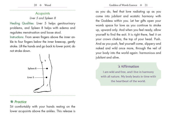 Elemental Goddess Oracle: 45 Cards and Guidebook