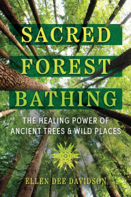 Sacred Forest Bathing: The Healing Power of Ancient Trees and Wild Places