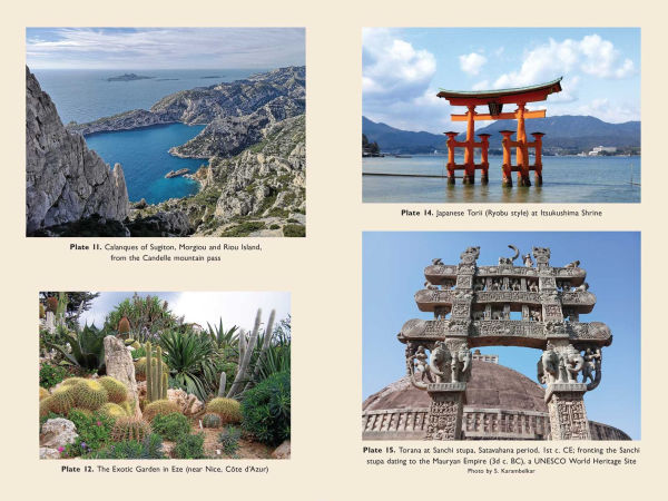 Transdimensional Mind: The Higher Self's Potential for Protection, Precognition, and Guidance