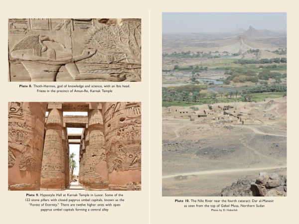 Transdimensional Mind: The Higher Self's Potential for Protection, Precognition, and Guidance