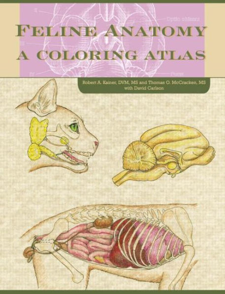 Feline Anatomy: A Coloring Atlas