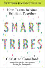 SmartTribes: How Teams Become Brilliant Together