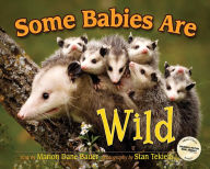 Title: Some Babies Are Wild, Author: Marion Dane Bauer