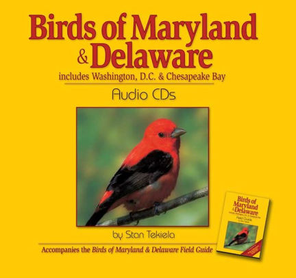 Birds Of Maryland Delaware Audiomultimedia - 