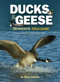 Title: Ducks and Geese of Minnesota Field Guide: Includes Swans and Other Water Birds, Author: Stan Tekiela