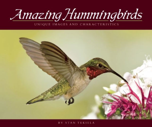 Amazing Hummingbirds: Unique Images and Characteristics