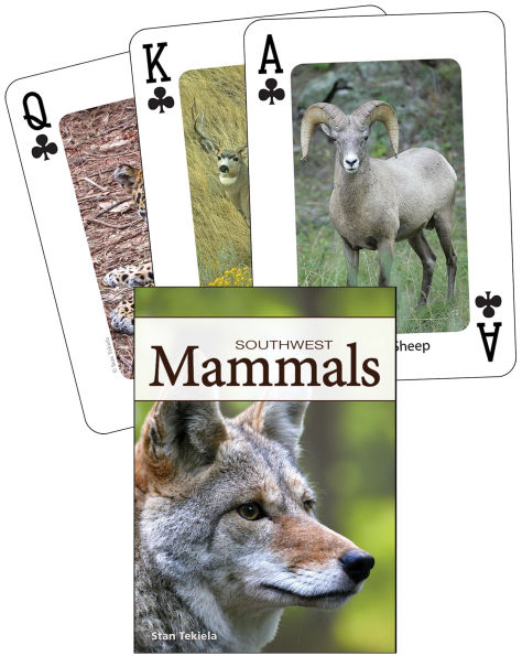 Mammals of the Southwest Playing Cards