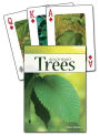 Trees of the Southeast Playing Cards