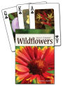 Wildflowers of the Gulf Coast Playing Cards