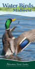 Water Birds of the Midwest: Your Way to Easily Identify Water Birds