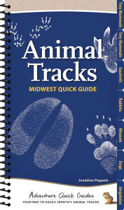 Title: Animal Tracks of the Midwest Quick Guide, Author: Jonathan Poppele