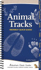 Animal Tracks of the Midwest: Your Way to Easily Identify Animal Tracks