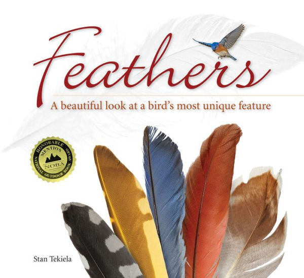 Feathers: A Beautiful Look at a Bird's Most Unique Feature