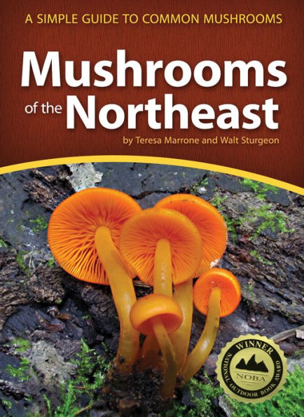 Mushrooms of the Northeast: A Simple Guide to Common