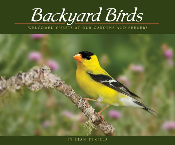 Backyard Birds: Welcomed Guests at Our Gardens and Feeders
