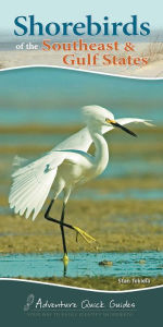 Title: Shorebirds of the Southeast & Gulf States: Your Way to Easily Identify Shorebirds, Author: Stan Tekiela