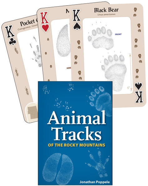 Animal Tracks of the Rocky Mountains Playing Cards