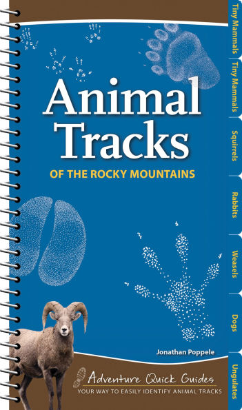 Animal Tracks of the Rocky Mountains: Your Way to Easily Identify Animal Tracks