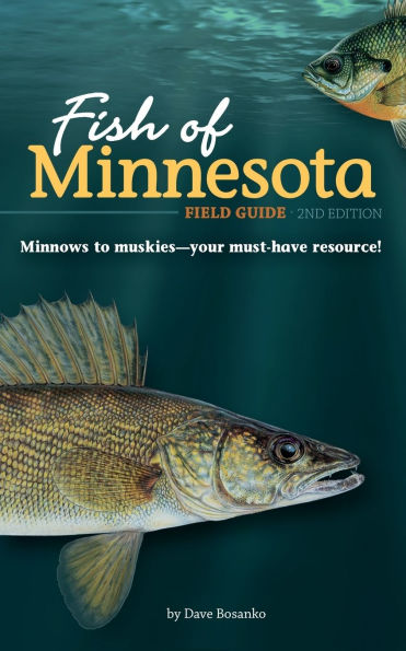 Fish of Minnesota Field Guide