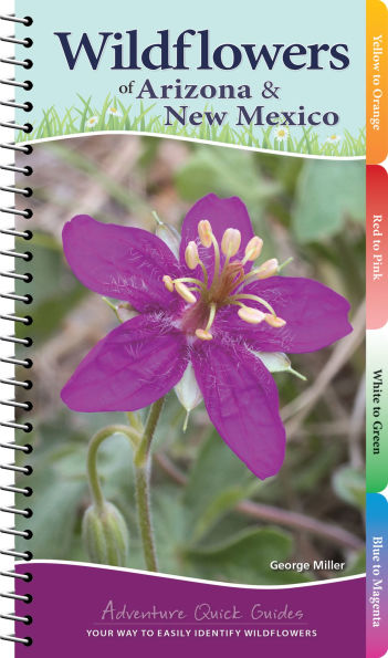 Wildflowers of Arizona & New Mexico: Your Way to Easily Identify Wildflowers