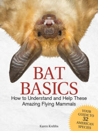 Title: Bat Basics: How to Understand and Help These Amazing Flying Mammals, Author: Karen Krebbs