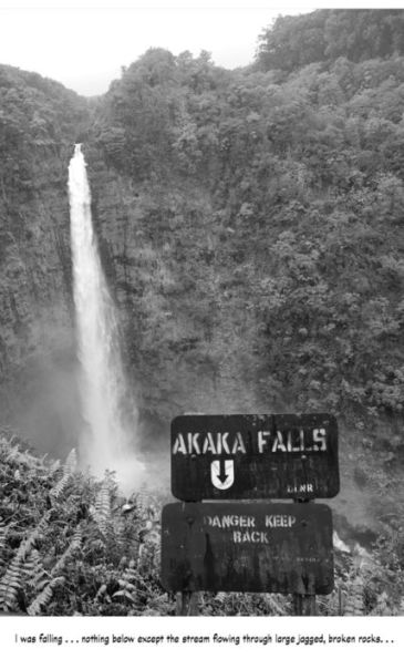 Captain Cooked: Hawaiian Mystery of Romance, Revenge... and Recipes!
