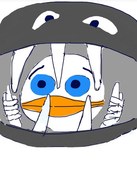 Duck Book
