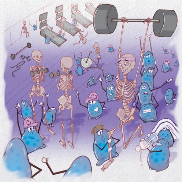 Joan's Bones