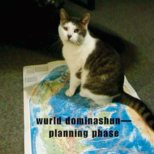 How to Take Over Teh Wurld: A LOLcat Guide 2 Winning